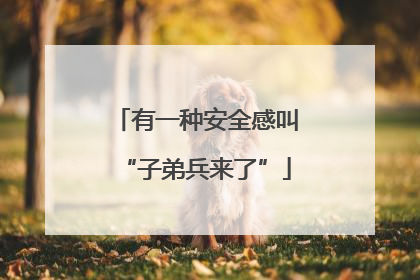 有一种安全感叫“子弟兵来了”