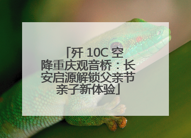 歼 10C 空降重庆观音桥：长安启源解锁父亲节亲子新体验