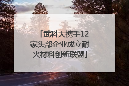 武科大携手12家头部企业成立耐火材料创新联盟