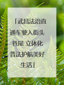 武昌法治直通车驶入街头巷尾 立体化普法护航美好生活