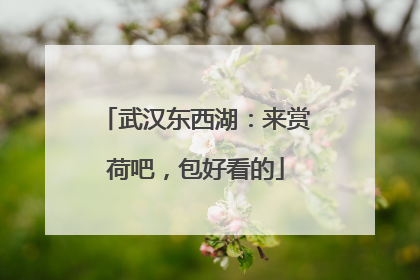 武汉东西湖：来赏荷吧，包好看的