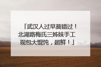 武汉人过早莫错过！北湖路梅氏三姊妹手工现包大馄饨，超鲜！