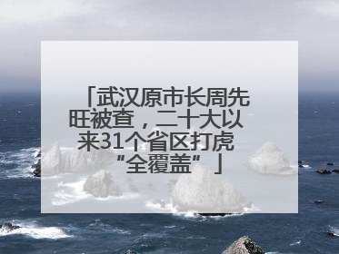 武汉原市长周先旺被查，二十大以来31个省区打虎“全覆盖”