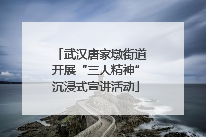 武汉唐家墩街道开展“三大精神”沉浸式宣讲活动
