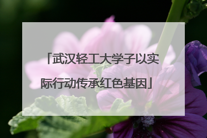 武汉轻工大学子以实际行动传承红色基因