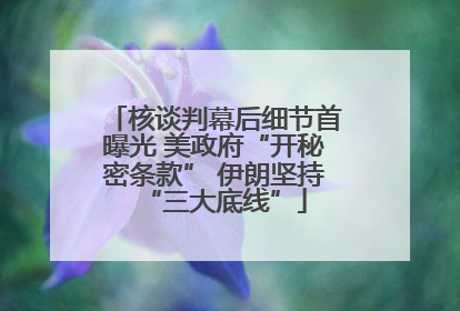 核谈判幕后细节首曝光 美政府“开秘密条款” 伊朗坚持“三大底线”