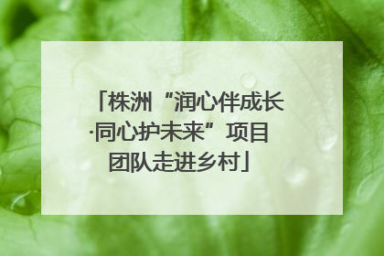 株洲“润心伴成长·同心护未来”项目团队走进乡村