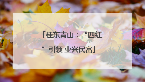 桂东青山：“四红”引领 业兴民富