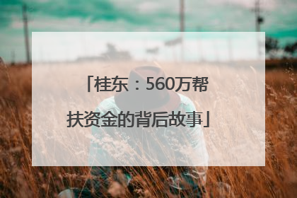桂东：560万帮扶资金的背后故事