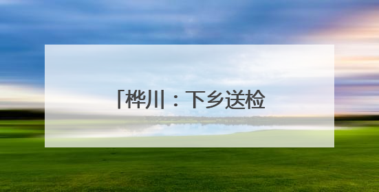 桦川：下乡送检定 暖心助农兴
