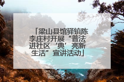 梁山县馆驿镇陈李庄村开展“普法进社区‘典’亮新生活”宣讲活动