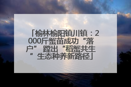 榆林榆阳镇川镇：2000斤蟹苗成功“落户” 蹚出“稻蟹共生”生态种养新路径