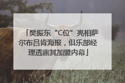 樊振东“C位”亮相萨尔布吕肯海报，俱乐部经理透露其加盟内幕