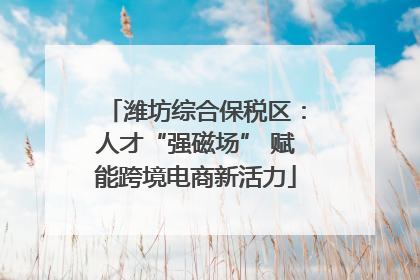 潍坊综合保税区：人才“强磁场” 赋能跨境电商新活力