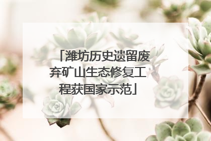 潍坊历史遗留废弃矿山生态修复工程获国家示范