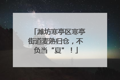 潍坊寒亭区寒亭街道麦熟归仓，不负当“夏”！