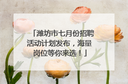 潍坊市七月份招聘活动计划发布，海量岗位等你来选！