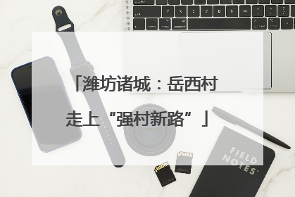 潍坊诸城：岳西村走上“强村新路”