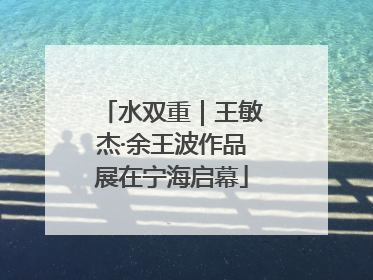 水双重｜王敏杰·余王波作品展在宁海启幕