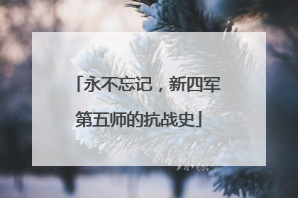 永不忘记，新四军第五师的抗战史