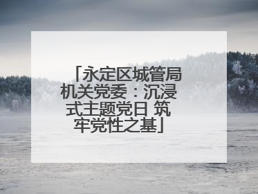 永定区城管局机关党委：沉浸式主题党日 筑牢党性之基