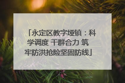 永定区教字垭镇：科学调度 干群合力 筑牢防洪抢险坚固防线