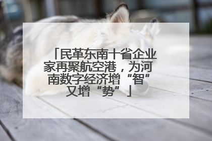 民革东南十省企业家再聚航空港，为河南数字经济增“智”又增“势”