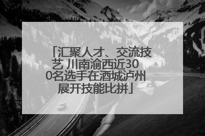 汇聚人才、交流技艺 川南渝西近300名选手在酒城泸州展开技能比拼