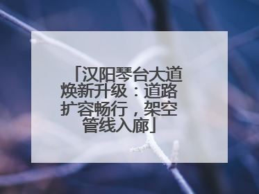 汉阳琴台大道焕新升级：道路扩容畅行，架空管线入廊