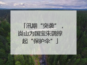 汛期“突袭”，崀山为国宝朱鹮撑起“保护伞”