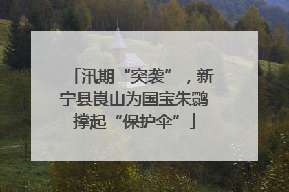 汛期“突袭”，新宁县崀山为国宝朱鹮撑起“保护伞”