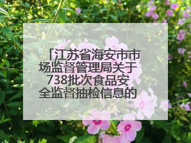 江苏省海安市市场监督管理局关于738批次食品安全监督抽检信息的通告（2025年第4期）