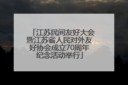 江苏民间友好大会暨江苏省人民对外友好协会成立70周年纪念活动举行