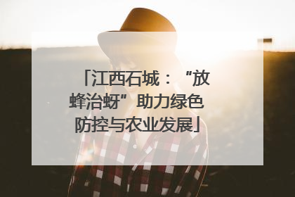 江西石城：“放蜂治蚜”助力绿色防控与农业发展