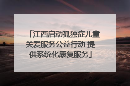 江西启动孤独症儿童关爱服务公益行动 提供系统化康复服务