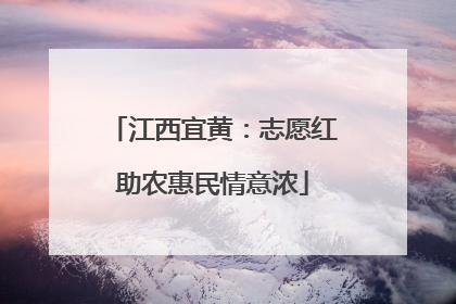 江西宜黄：志愿红助农惠民情意浓