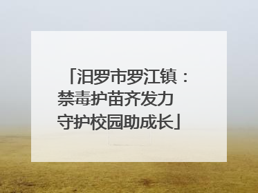 汨罗市罗江镇：禁毒护苗齐发力 守护校园助成长
