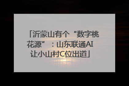 沂蒙山有个“数字桃花源”：山东联通AI让小山村C位出道