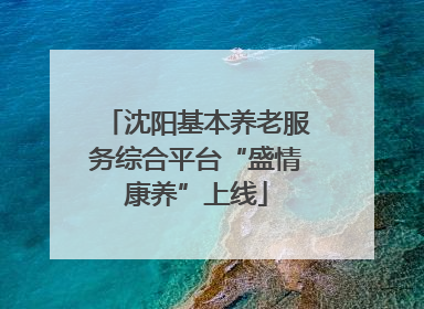 沈阳基本养老服务综合平台“盛情康养”上线