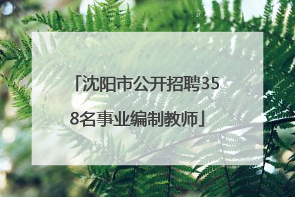 沈阳市公开招聘358名事业编制教师