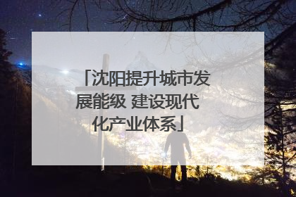 沈阳提升城市发展能级 建设现代化产业体系
