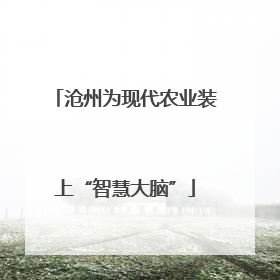 沧州为现代农业装上“智慧大脑”