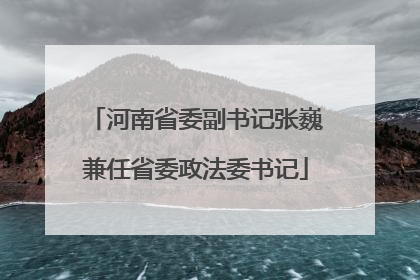 河南省委副书记张巍兼任省委政法委书记