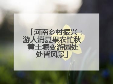 河南乡村振兴：游人消夏果农忙秋 黄土塬变游园处处皆风景