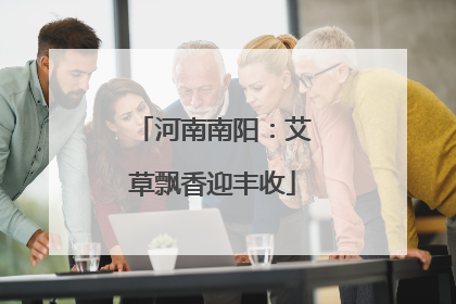 河南南阳：艾草飘香迎丰收