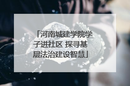 河南城建学院学子进社区 探寻基层法治建设智慧