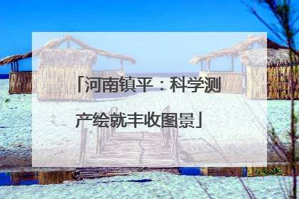 河南镇平：科学测产绘就丰收图景
