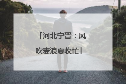 河北宁晋：风吹麦浪夏收忙