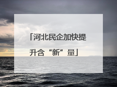 河北民企加快提升含“新”量