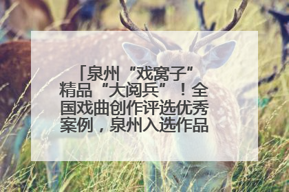 泉州“戏窝子” 精品“大阅兵”！全国戏曲创作评选优秀案例，泉州入选作品数在地级市中最多